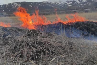 Van'ın Gevaş ilçesinde anız yangını