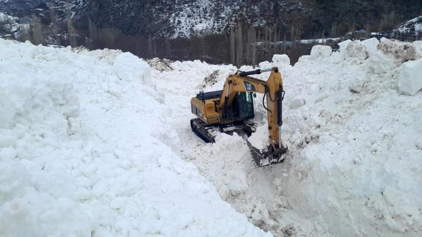Yüksekova'da çığ meyve bahçelerini yuttu