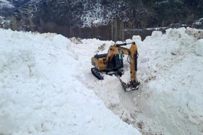 Yüksekova'da çığ meyve bahçelerini yuttu