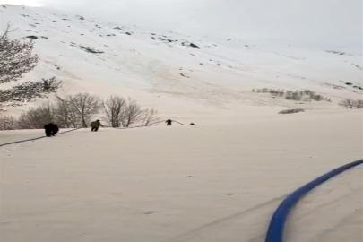 Çığ altında kalan su şebekesi devre dışı kaldı; 400 metre boru döşenerek yeniden suya ulaşıldı