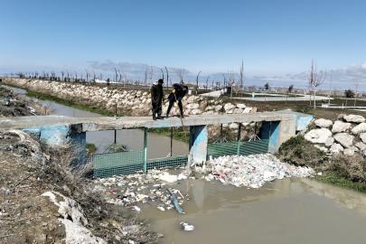 İnci kefalinin göç yolunda 2 ton atık temizlendi