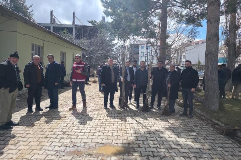 Muradiye’de yüzde 90 hibeli 50 bin adet meyve fidanı dağıtımı yapıldı