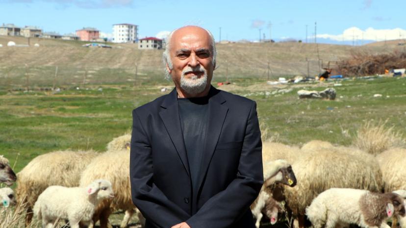 Norduz Koyunu için Koruma Çalışmaları Devam Ediyor