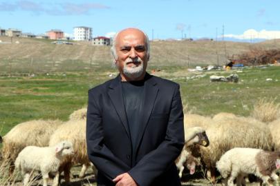 Norduz Koyunu için Koruma Çalışmaları Devam Ediyor