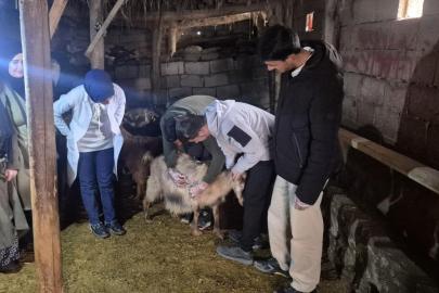 Özalp'te çiftçilere yönelik eğitim seferberliği başlatıldı