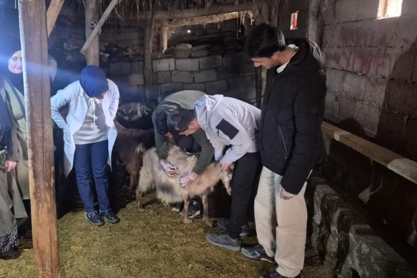 Özalp'te çiftçilere yönelik eğitim seferberliği başlatıldı