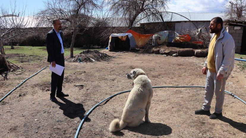 Tuşba Belediyesi’nden Sahipsiz Köpekler İçin “Kayıtlı” Çözüm