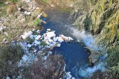 Van Gölü Alarm Veriyor