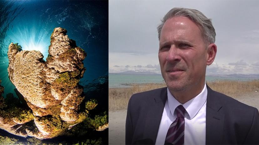 Van Gölü'nün mercanları GUINES Rekorlar Kitabına girmeye hazırlanıyor