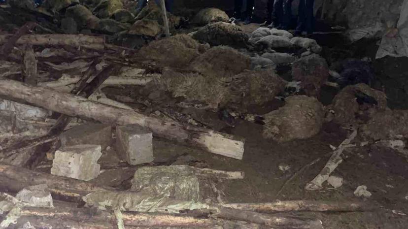 Van'da Ahır Çökmesi: 56 Hayvan Telef, 1 İnek Kurtarıldı