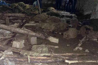 Van'da Ahır Çökmesi: 56 Hayvan Telef, 1 İnek Kurtarıldı