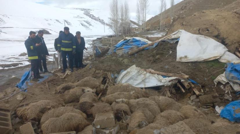 Van'da ahır çöktü, 23 küçükbaş hayvan telef oldu