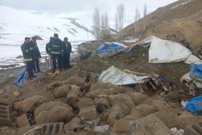 Van'da ahır çöktü, 23 küçükbaş hayvan telef oldu
