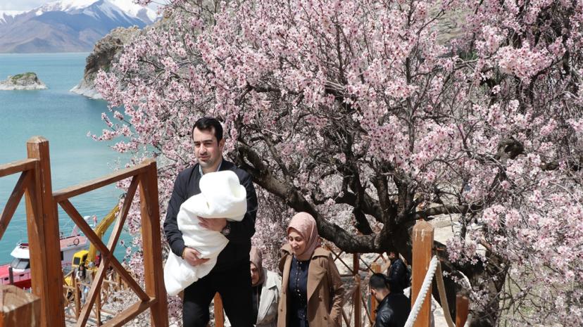 Van'da badem ağaçlarının çiçekleriyle güzelleşen Akdamar Adası'nda turist yoğunluğu