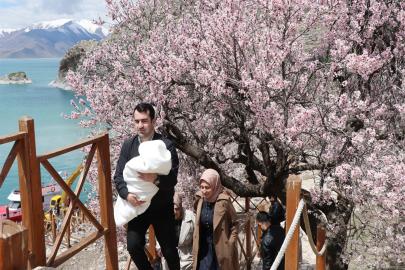 Van'da badem ağaçlarının çiçekleriyle güzelleşen Akdamar Adası'nda turist yoğunluğu