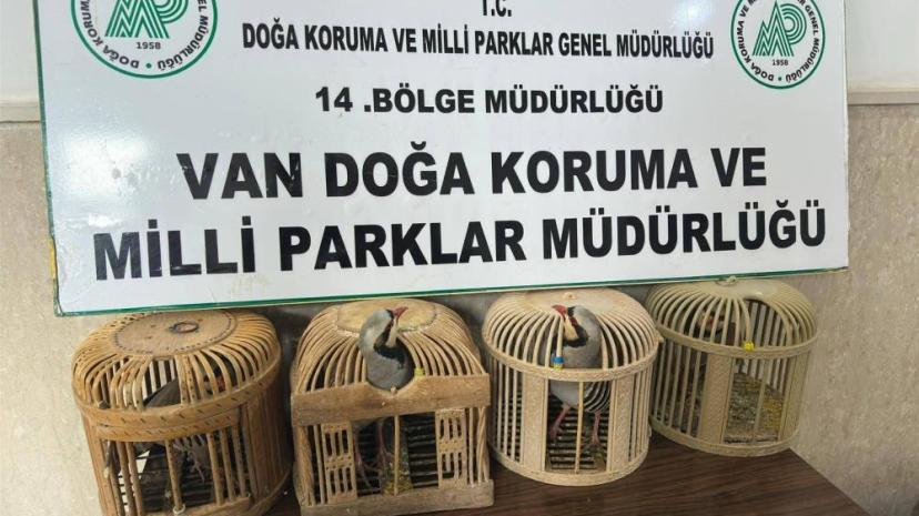 Van'da keklik avlayan şahsa 86 bin 278 lira para cezası