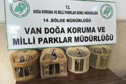 Van'da keklik avlayan şahsa 86 bin 278 lira para cezası