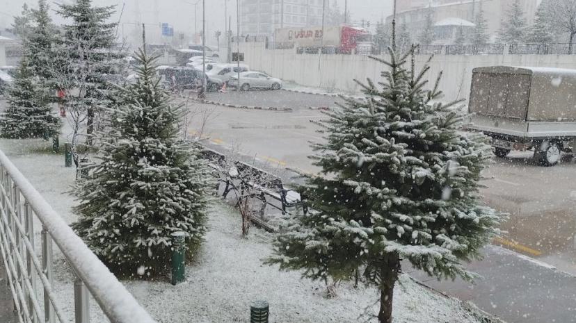 Van'da nisan ayında her yer beyaza büründü