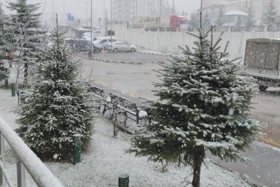 Van'da nisan ayında her yer beyaza büründü