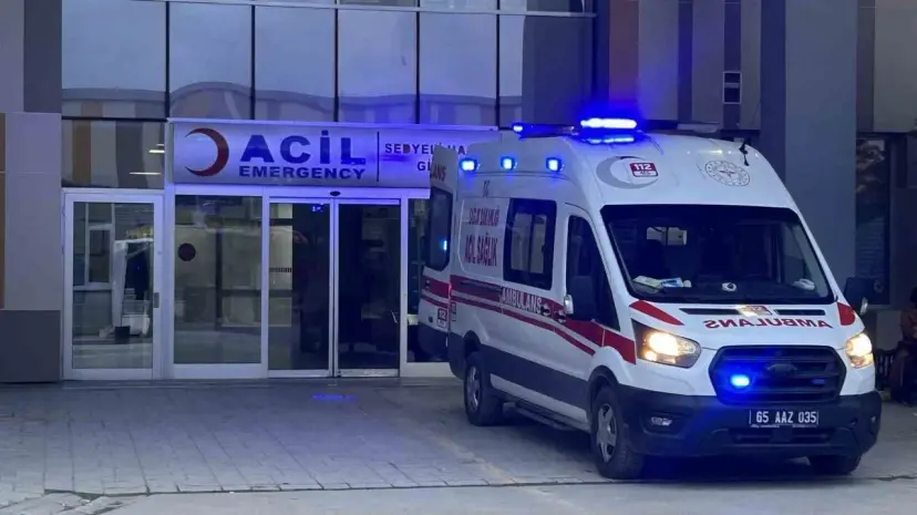 Van’da sahipsiz köpeklerin saldırısına uğrayan 5 yaşındaki çocuk yaşamını yitirdi