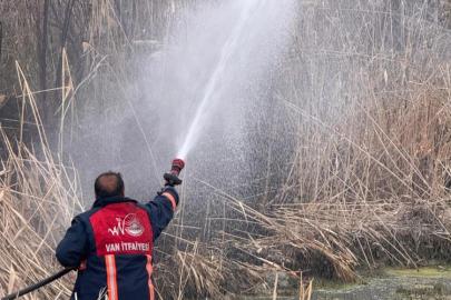 Van'da sazlık alanda yangın