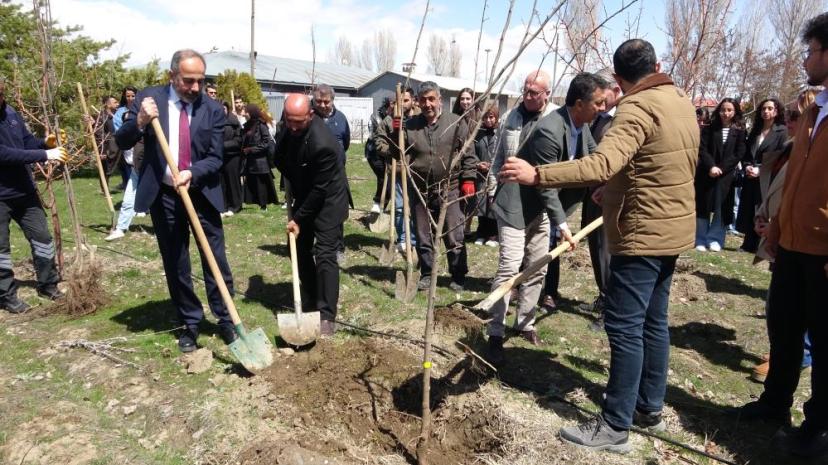 Van'da yerel meyve fidanları toprakla buluşturuldu