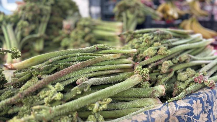 Yayla muzu tezgaha çıktı