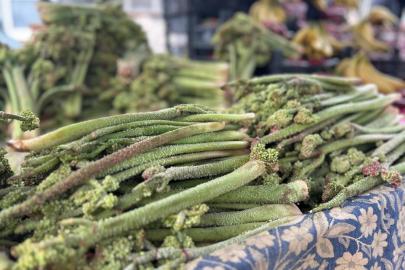 Yayla muzu tezgaha çıktı