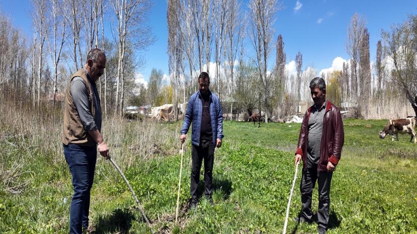 Çiftçilerin yaban domuzu nöbeti