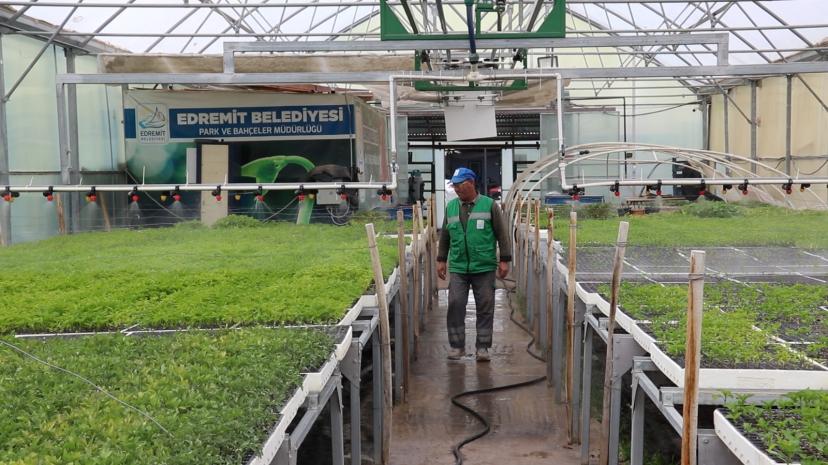 Edremit Belediyesi Kendi Seralarında Üretiyor