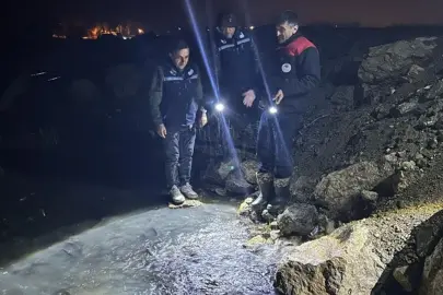 İnci kefalinin göç popülasyonu ekipleri şaşırttı