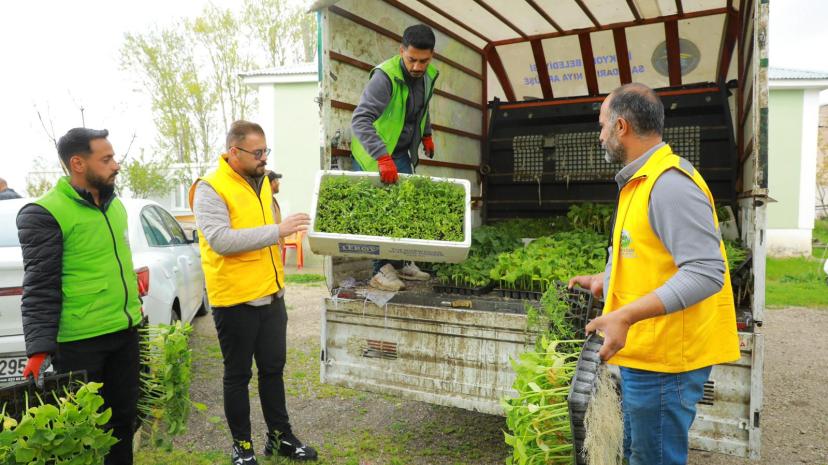 İpekyolu Belediyesi Erçek’te 80 Bin Sebze Fidesi Dağıttı