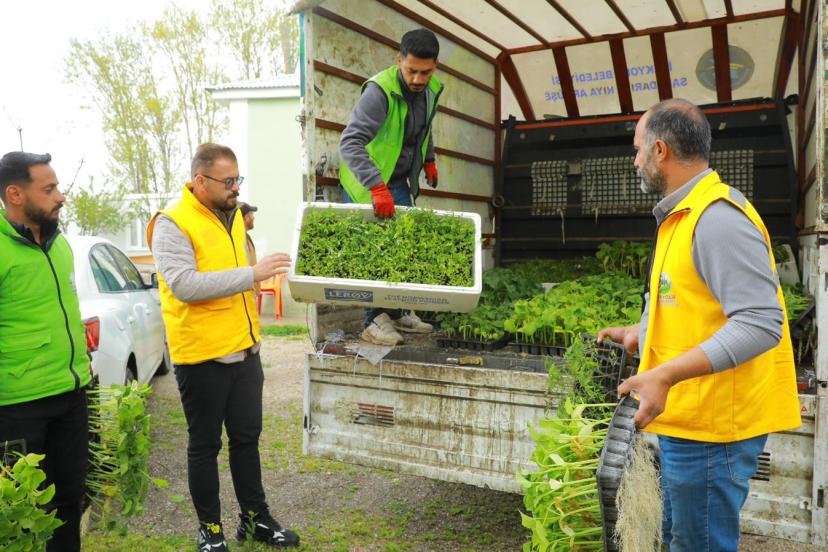 İpekyolu Belediyesi Erçek’te 80 Bin Sebze Fidesi Dağıttı