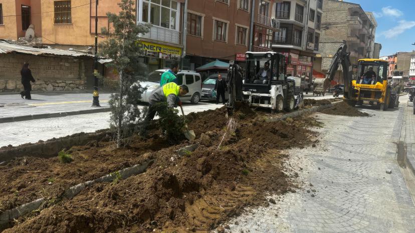 İpekyolu Daha Yeşil Bir Görünüme Kavuşuyor