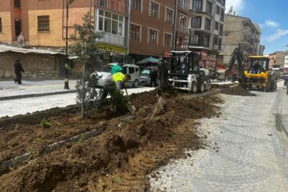İpekyolu Daha Yeşil Bir Görünüme Kavuşuyor