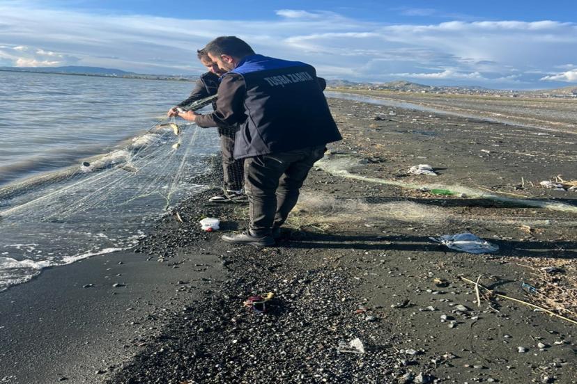 Van Gölü'ne atılan 200 metre uzatma ağında yakalanan 100 kilo canlı balık, tekrar suya bırakıldı