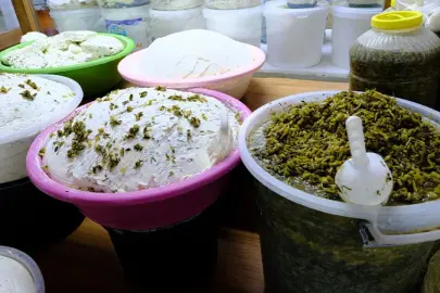 Van peynirinin vazgeçilmez otları satışta