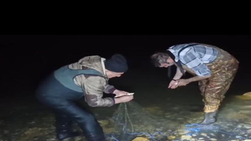 Van'da kaçak avlanan 100 kilo canlı inci kefali tekrar suya bırakıldı