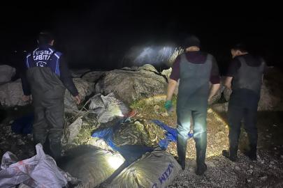 Van'da kaçak avlanan bir ton ölü inci kefali ele geçirildi