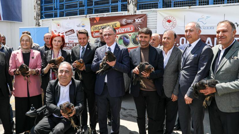VAN’DA ÜRETİCİLERE 23 BİN ADET YARKA CİNSİ TAVUK DAĞITILDI