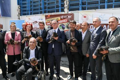 VAN’DA ÜRETİCİLERE 23 BİN ADET YARKA CİNSİ TAVUK DAĞITILDI