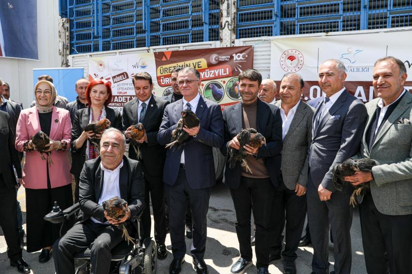 VAN’DA ÜRETİCİLERE 23 BİN ADET YARKA CİNSİ TAVUK DAĞITILDI