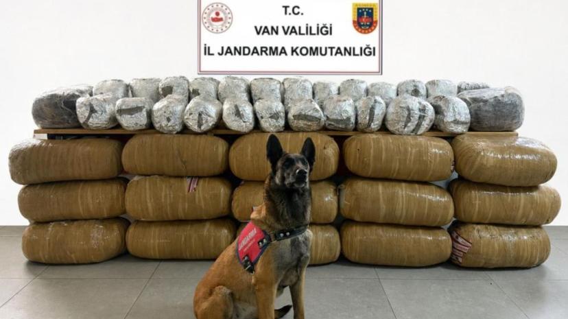 Van’da yarım tona yakın uyuşturucu ele geçirildi