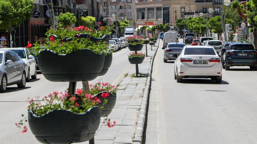 BÜYÜKŞEHİR BELEDİYESİ CADDELERİ SARDUNYALARLA SÜSLEDİ