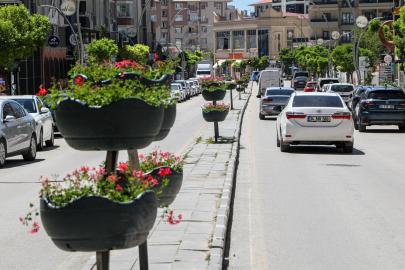 BÜYÜKŞEHİR BELEDİYESİ CADDELERİ SARDUNYALARLA SÜSLEDİ