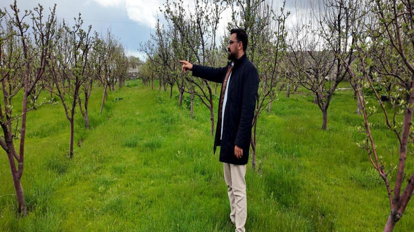 Diş hekimi, memleketine 2 bin ceviz fidanı dikti