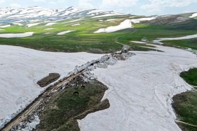 HAZİRAN AYINDA KARLA MÜCADELE; NORDUZ BÖLGESİNDE 3 BİN 800 RAKIMDA ZORLU MESAİ