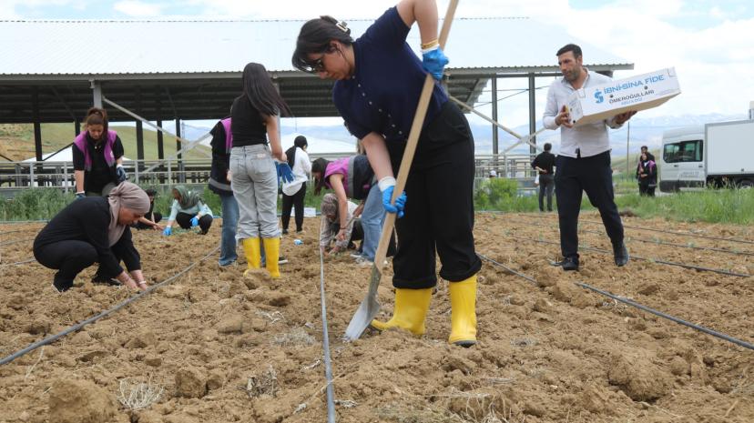 Kadın Emeği Toprakla Buluştu: Başkale’de 7 Bin Lahana Fidesi Toprakla Buluştu