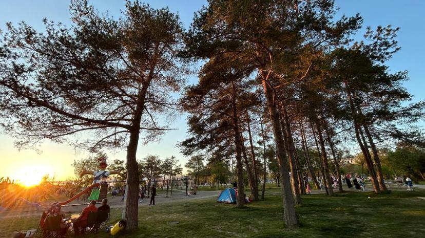 Uzmanlardan kene uyarısı: "Bilinçsiz müdahale riski artırıyor"