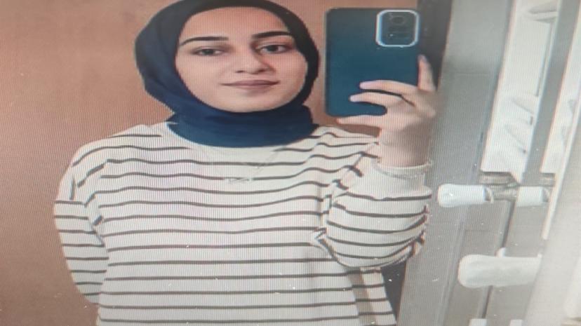Van Barosu, Rojin Kabaiş dosyasından çekildi